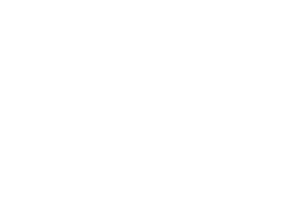 fiat_logo
