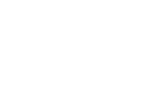 smart_logo